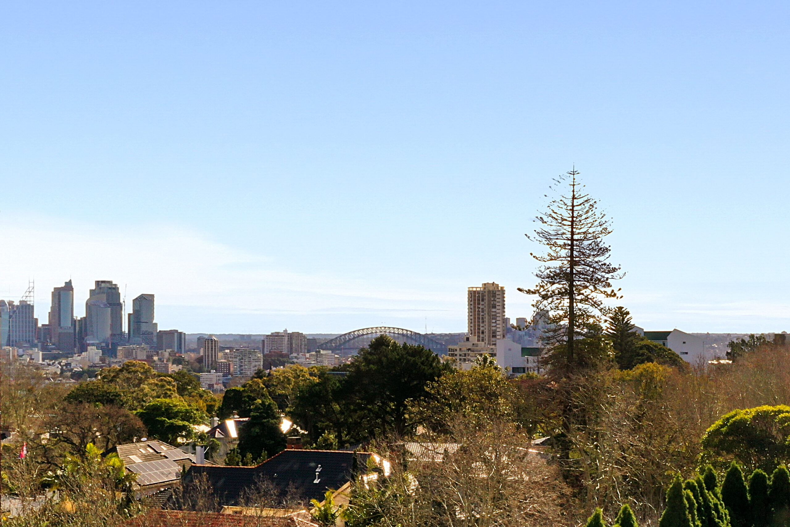 Penthouse outlook towards the Harbour Bridge